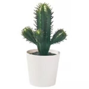 FEJKA Prickly Cactus: Zero-Work Greenery No Watering Needed